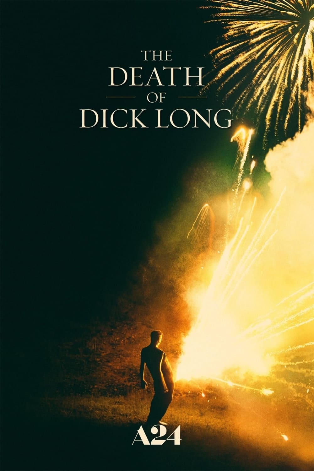 The Death of Dick Long (2019) [35535] (A1702173408) [[Movies]] --Plex--